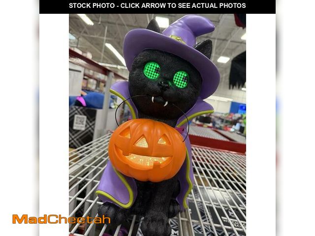 Lot 74-12861714 - Members Mark Witchy Cat Pre-Lit Halloween Decor LED Pumpkin LCD Eyes Indoor 18 - UNUSED