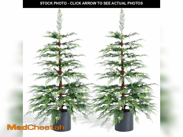 Lot 74-13055263 - Stephan Roberts Pre-Lit Potted Hemlock Artificial Tree with Warm White Lights, Indoor Outdoor Holida...