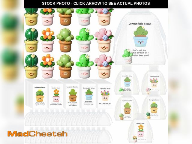Lot 74-12710568 - Chunful 50 Set Employee Appreciation Gift Bulk for Coworkers Resin Flower Pot Pun Inspirational Note...