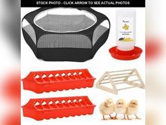 Lot 74-12330380 - undefined