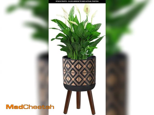 Lot 74-12508382 - fuxuiwy Flower Pot with Legs Tall Flower Pot with Drainage Holes for Indoor and Outdoor Decorative P...