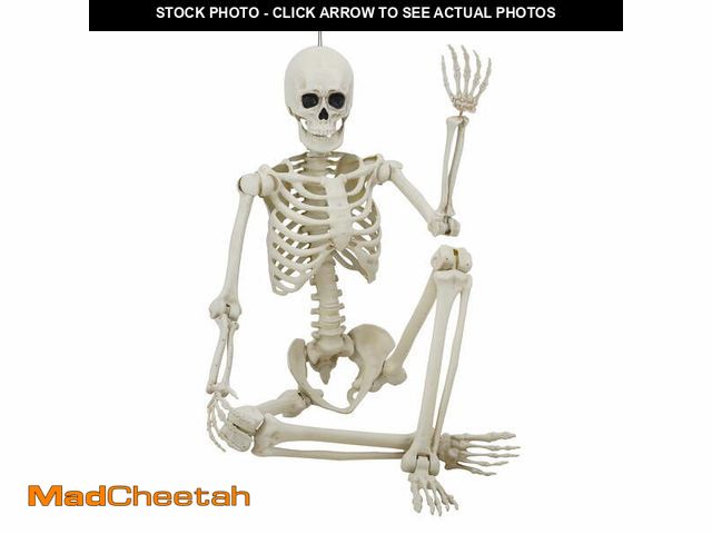 Lot 74-12862453 - 7ft Hanging Poseable Titan Faux Skeleton Decoration, Halloween by Way To Celebrate - UNUSED