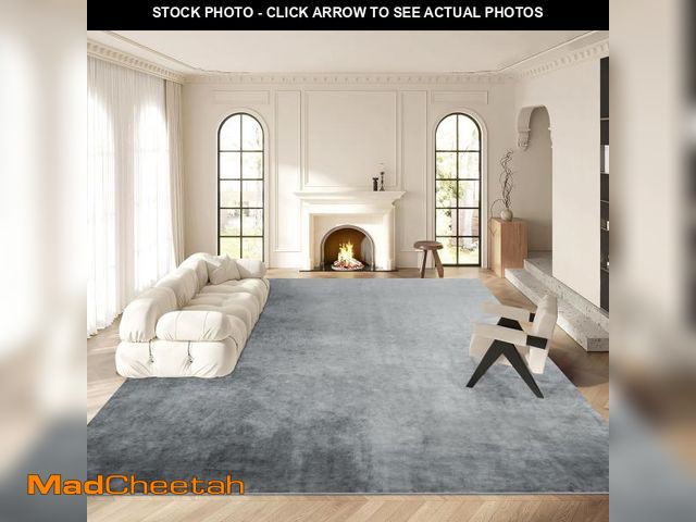 Lot 74-12167449 - HOMBYS 12x15ft Large Area Rug for Living Room Bedroom, Fluffy Soft Floor Carpet with Non-Slip Backin...