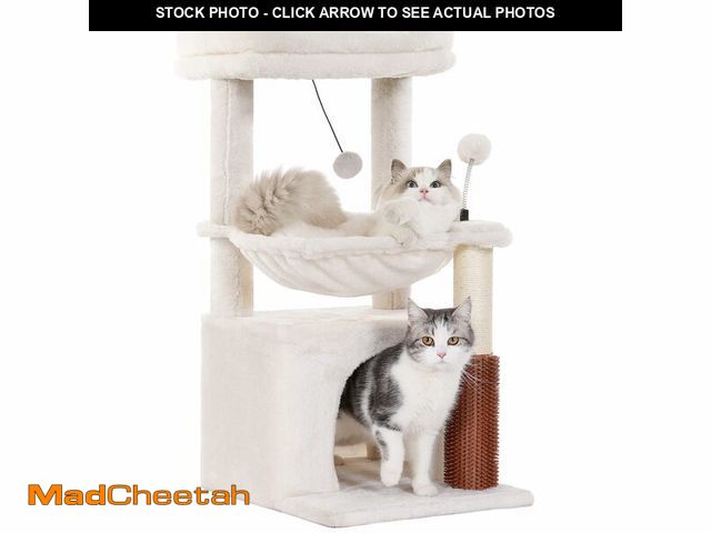 Lot 74-12715858 - Pawfessor Cat Tree 32 Inches Small Cat Tree for Large Cats Adult Cat Tower with Scratching Post,15.7...