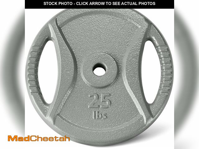 Lot 74-13499305 - Basics 1-Inch Grip Weight Plates, 25 lb, Single - UNUSED
