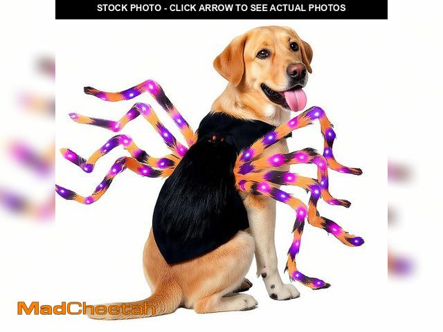 Lot 74-12710449 - CENSJA 64 LED Spider Dog Halloween Costume for Large &amp; XL Dogs, Furry Giant Spider Pet Costume w...