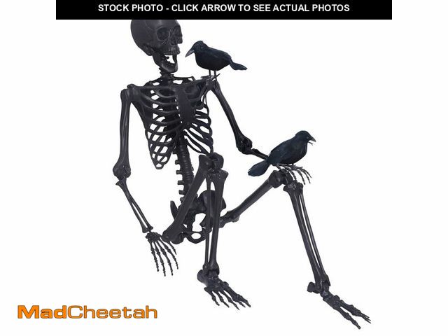 Lot 74-12708624 - 5.4Ft Halloween Skeleton,Posable Skeleton Full Size Skeleton with Movable Joints and 2PC Black Feath...
