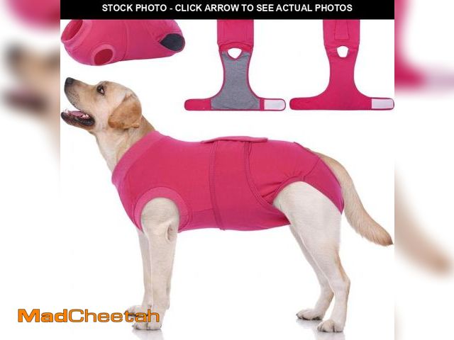 Lot 74-11552443 - Kuoser Dog Surgery Suit Female Spay, Dog Recovery Suit Male Neuter, Dog Clothes Onesie for Surgery A...