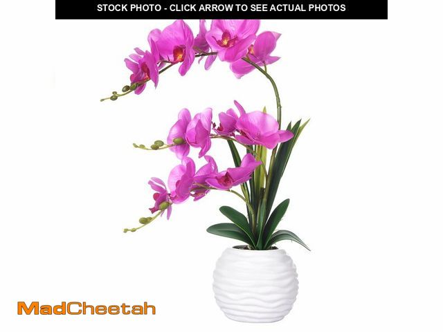 Lot 74-12700893 - FuleHouzz Artificial Orchids in Vase Fake Real Touch Orchid Flowers in Pot Faux Phalaenopsis Potted ...
