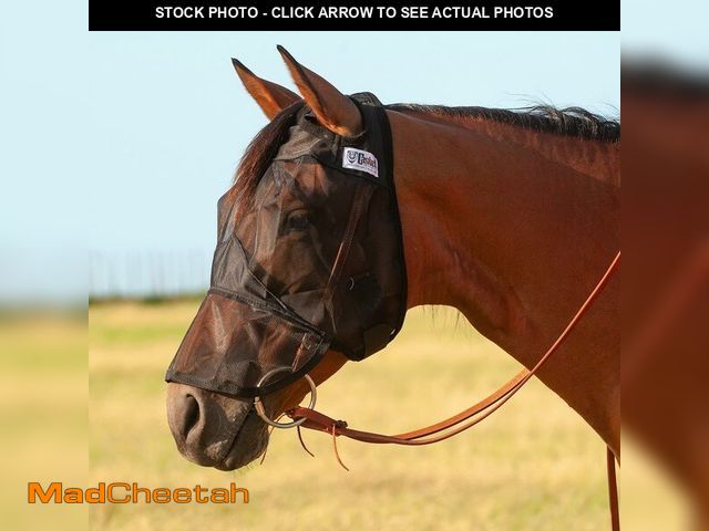 Lot 74-14207206 - Cashel Quiet Ride Long Nose Horse Fly Mask (QRHL), Black - USED