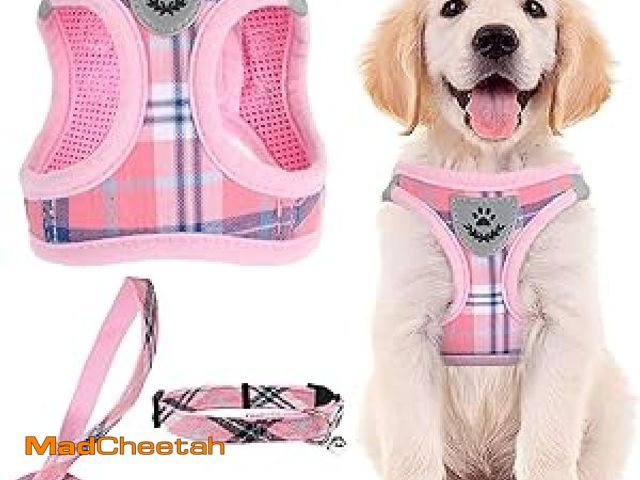Lot 74-12125105 - PUPTECK Adjustable Dog Harness Collar and Leash Set Step in No Pull Pet Harness for Small Medium Dog...