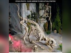 Lot 74-13049849 - undefined