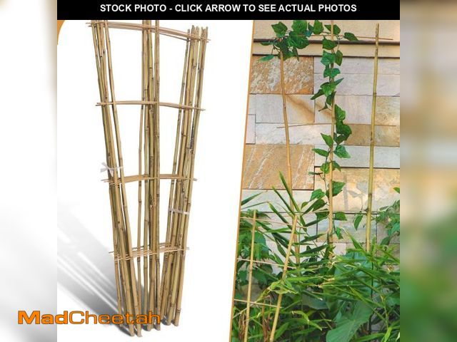 Lot 74-12524839 - 10 Pack 4ft Bamboo Trellis for Climbing Plants-Natural Garden Ladder Trellis, Fan -Shaped Support Tr...