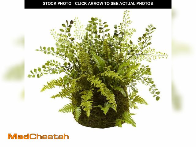 Lot 74-14270449 - Nearly Natural Mixed Fern with Twig and Moss Basket - USED