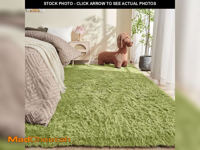 Lot 74-13583385 - OPPODREAM 4x6 Light Green Rugs for Bedroom, Ultra-Soft Fluffy Area Rugs for Living Room, 4 x 6 Shag ...