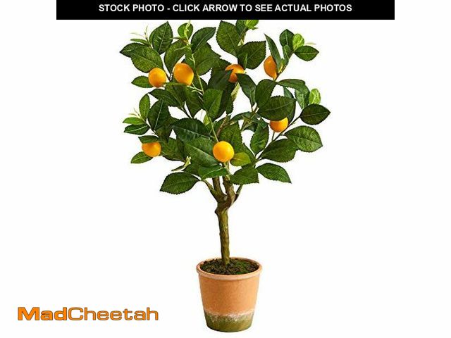 Lot 74-12544256 - Nearly Natural 24in. Lemon Artificial Tree - UNUSED