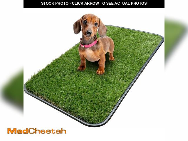 Lot 74-13042325 - Ottomanson Artificial Grass Puppy Potty Training Pad with Tray, 15" x 30" Reusable Pee Pad for Small...