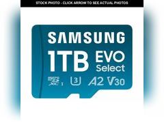 Lot 74-13328510 - undefined