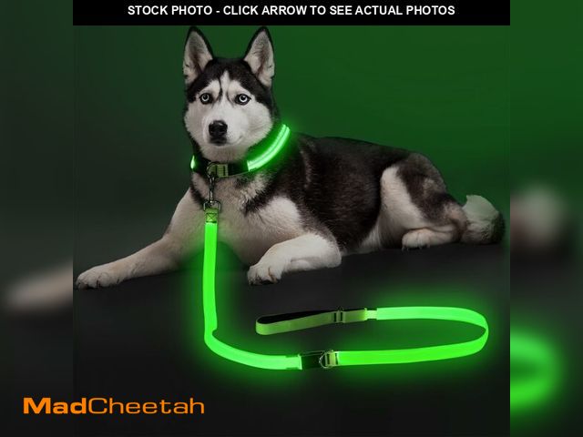 Lot 74-12710671 - Colaseeme Light Up Dog Leash, LED Pet Leashes USB Rechargeable, Glow Safety Dogs Lights at Night (6F...