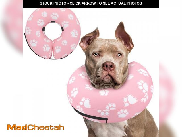 Lot 74-11557210 - Supet Inflatable Dog Cone Collar Alternative After Surgery, Dog Neck Donut Collar Recovery E Collar ...