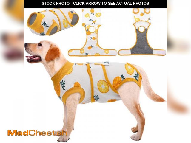 Lot 74-12217572 - Kuoser Recovery Suit for Dogs Cats After Surgery, Professional Pet Recovery Shirt Dog Abdominal Woun...