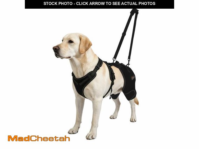 Lot 74-14210858 - LISPOO Dog Hip Support Brace - Adjustable Dog Leg Brace for Hip Dysplasia/Arthritis/Pain Relief, War...