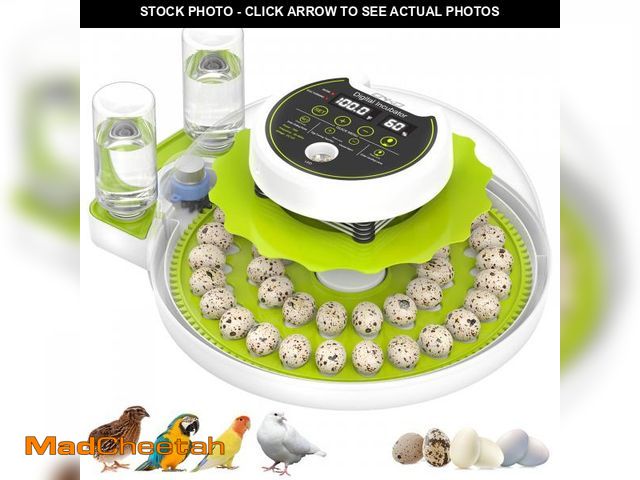Lot 74-12441358 - Quail Egg Incubator for Hatching 40 Quail Eggs with Automatic Turner and Humidity Control, Small Qua...