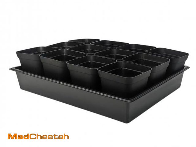 Lot 74-11556126 - RooTrimmer 3.5 inch (9CM) Square Nursery Pots 60pcs, Sturdy Seedlings Trays 5 Pcs, Seeds Starter Ger...