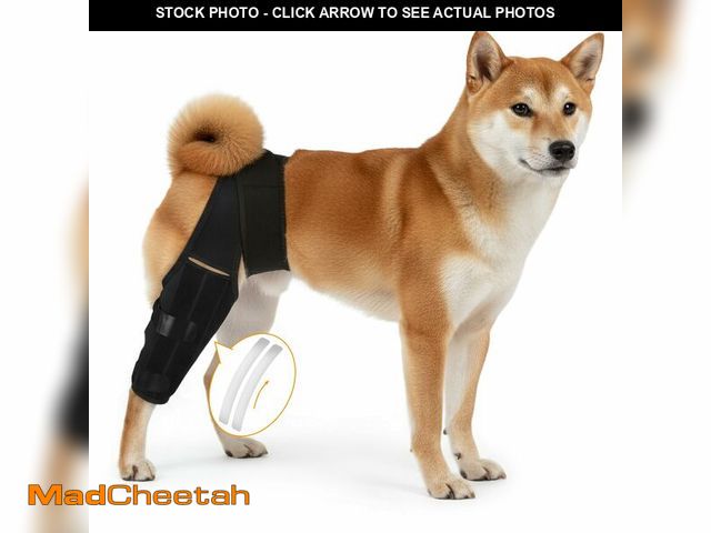 Lot 74-14155024 - WZXOZYNG Dog Knee Brace for Hind Leg Ã¢â¬â Adjustable Rear Leg Support with 2 PP Resin Bars, Help...