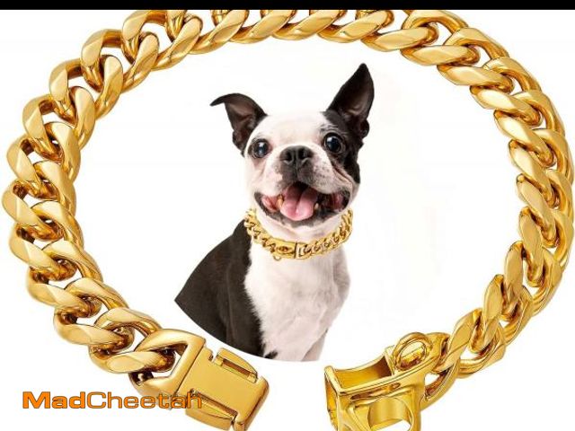 Lot 74-12332020 - Stainless Steel Silver Gold Dog Collars with Safety Buckle Lock,18K Cuban Link Chain Training Collar...