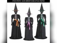 Lot 74-12828384 - undefined