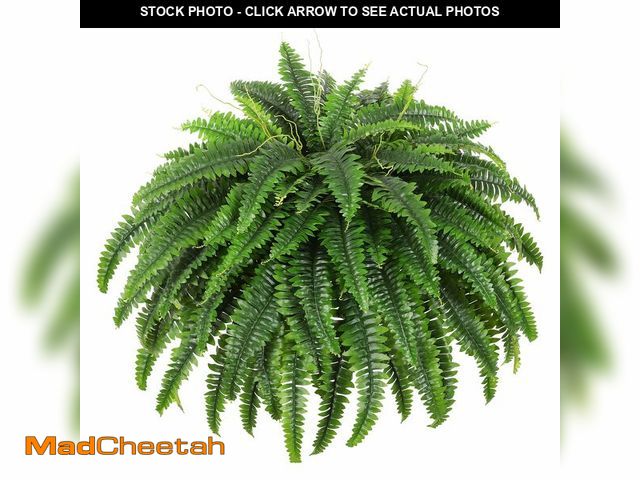Lot 74-13563866 - Dkaltm Single Silky Artificial Boston Fern Bush, 49Inch Large Artificial Ferns for Outdoors, Large F...