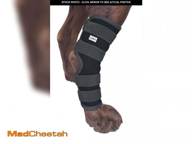 Lot 74-12438344 - Labra Dog Extra Supportive Canine Rear (Hind) Leg Hock Joint Compression Wrap for Recovery, Protecti...