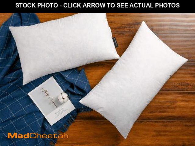 Lot 74-11551710 - JA COMFORTS 12Ã20 Premium Goose Down Feather Throw Pillow Inserts(Set of 2)-5% Down Filling,High Fi...
