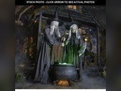 Lot 74-12774953 - undefined