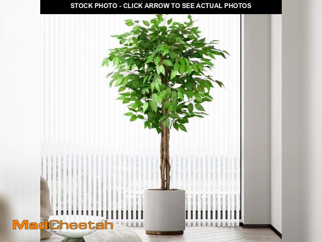 Lot 74-14607861 - 5FT Artificial Ficus Tree â Realistic Faux Ficus Tree &amp; Large Fake Ficus Tree, Silk Artificial...