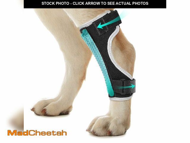 Lot 74-14151521 - Pawfun Dog Leg Braces for Back &amp; Front Legs- Dog Hock &amp; Ankle Joint Brace for Weak Back Legs...