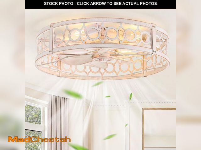 Lot 74-12180458 - LEDIARY Caged Flush Mount Ceiling Fans with Lights, 23 Inch Farmhouse Low Profile Ceiling Fan with R...