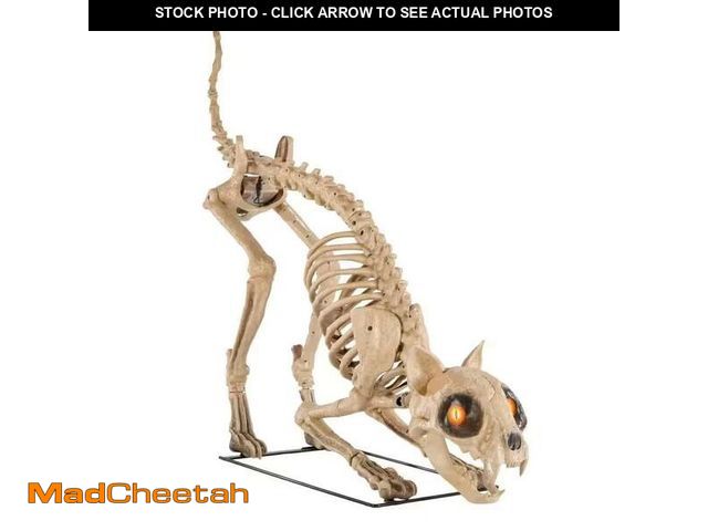 Lot 74-12849239 - Home Accents Holiday 5 ft Long LED Skelly's Cat - UNUSED