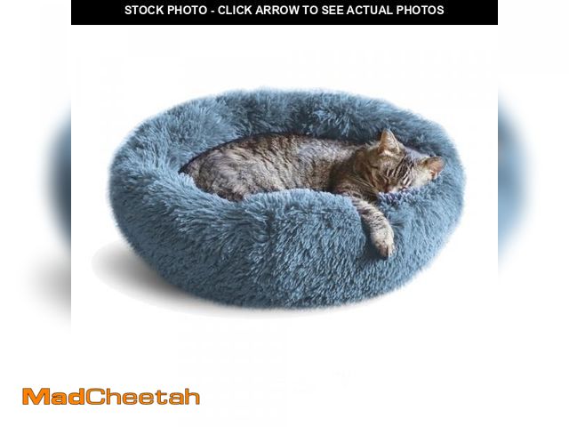 Lot 74-11860213 - Whiskers &amp; Friends Cat Bed, Cat Beds for Indoor Cats Washable, Orthopedic Soft Fluffy Round Calm...