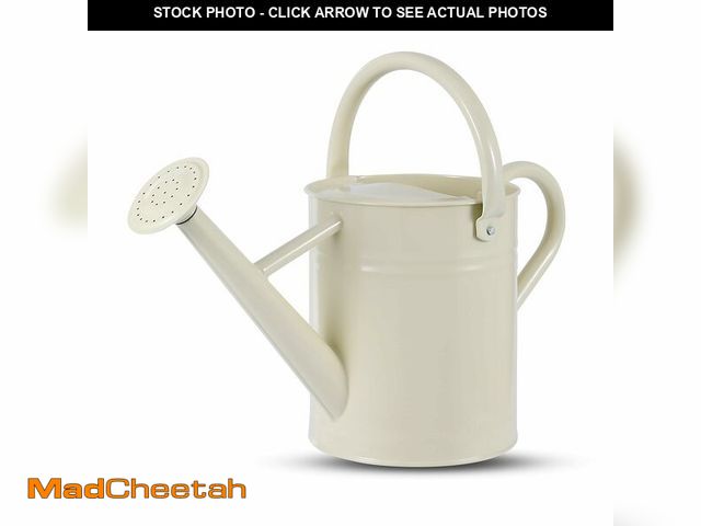 Lot 74-13538904 - 1 Gallon Watering Can for Plants, Watering Cans for Indoor&amp;Outdoor Gardening, Galvanized Steel W...