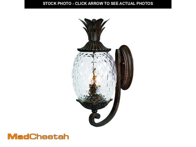 Lot 74-13694684 - Acclaim Lighting Lanai Collection 2-Light Black Coral Outdoor Wall Lantern Sconce - UNUSED