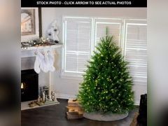 Lot 74-13014213 - undefined