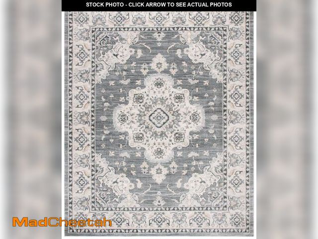 Lot 74-12403541 - SAFAVIEH Isabella Janae Oriental Area Rug, Grey/Light Grey, 8' x 10' - USED