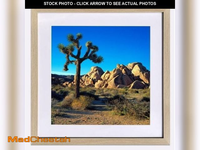 Lot 74-12421083 - SkyDrama Beige Wood Grain Style Frame- 20x20 Picture Frame for Displaying 16x16 Photos with Mat or 2...