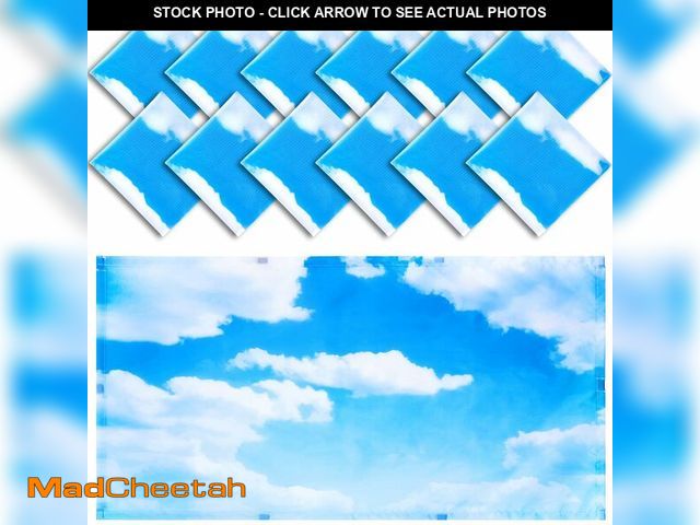 Lot 74-12712964 - Hortsun 12 Pcs Fluorescent Light Covers Bulk, 4 x 2 ft Magnetic Fluorescent Drop Ceiling Lighting Co...