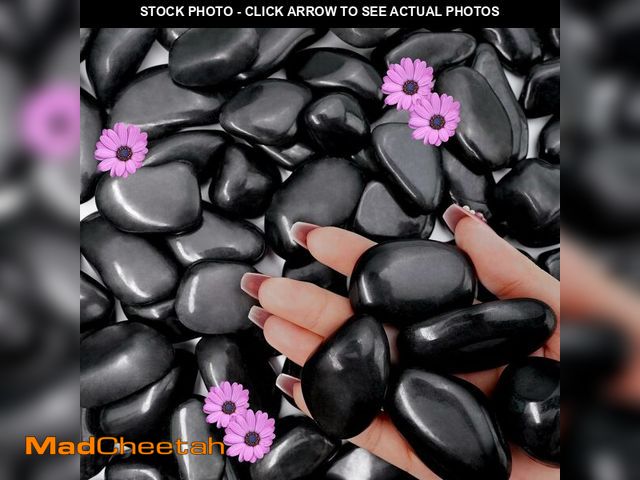 Lot 74-13696951 - NUPICK 45lb Black River Rocks for Outdoor Landscaping, 1-2 Inch Pebbles for Indoor Plants, Natural P...