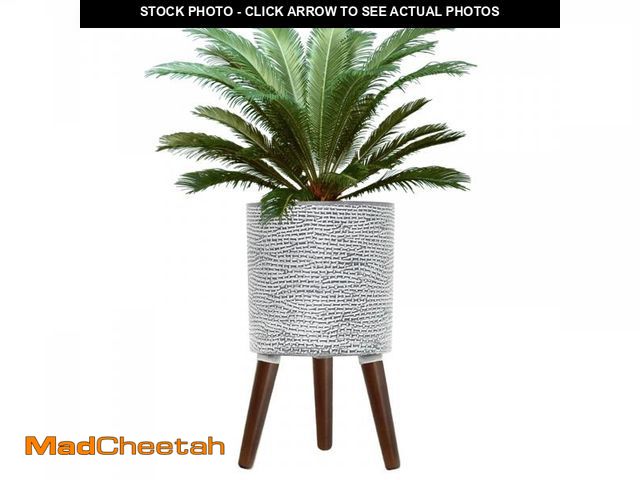 Lot 74-12520882 - fuxuiwy Flower Pot with Legs Tall Flower Pot with Drainage Holes for Indoor and Outdoor Decorative P...