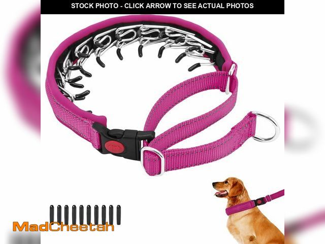 Lot 74-13545674 - Martingale No Pull Dog Collar for Large Medium Small Dogs, Heavy Duty Nylon Reflective Adjustable An...