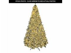 Lot 74-12764204 - undefined